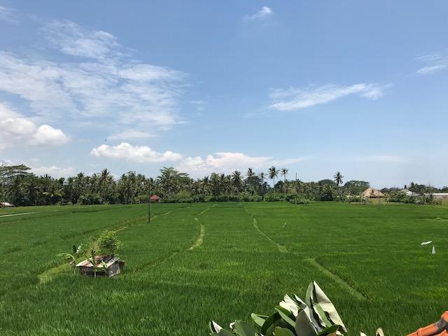אובוד Heavenly View Villa מראה חיצוני תמונה