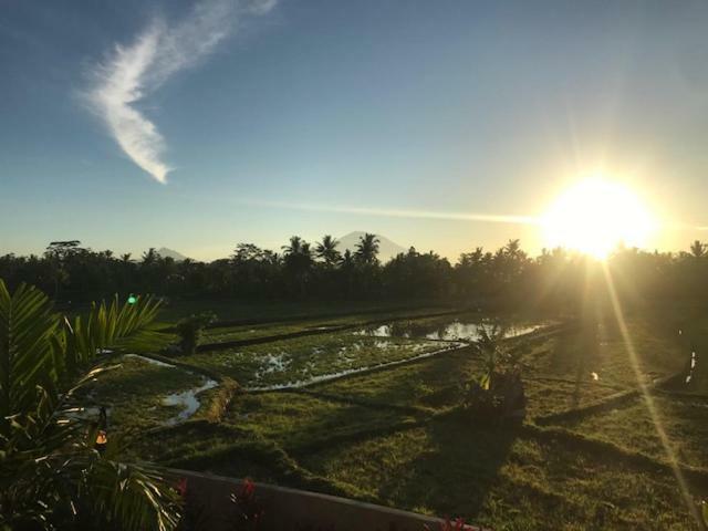 אובוד Heavenly View Villa מראה חיצוני תמונה